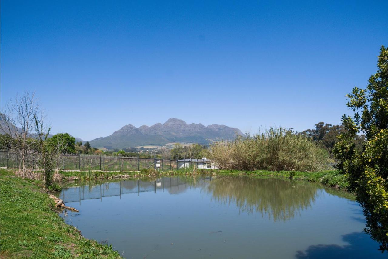 Sunset Farm Stellenbosch Villa Ngoại thất bức ảnh